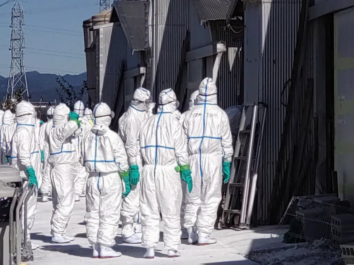 岐阜県は２０日、高病原性鳥インフルエンザが発生した本巣市の養鶏場で飼育されていた...