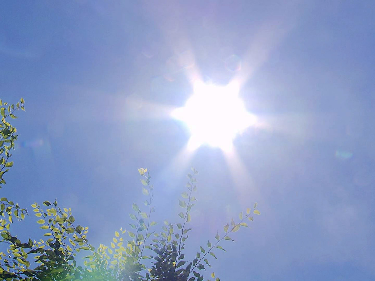 岐阜県内は８日も気温が上がり、各地で厳しい暑さとなりました。岐阜市では、高齢男性...