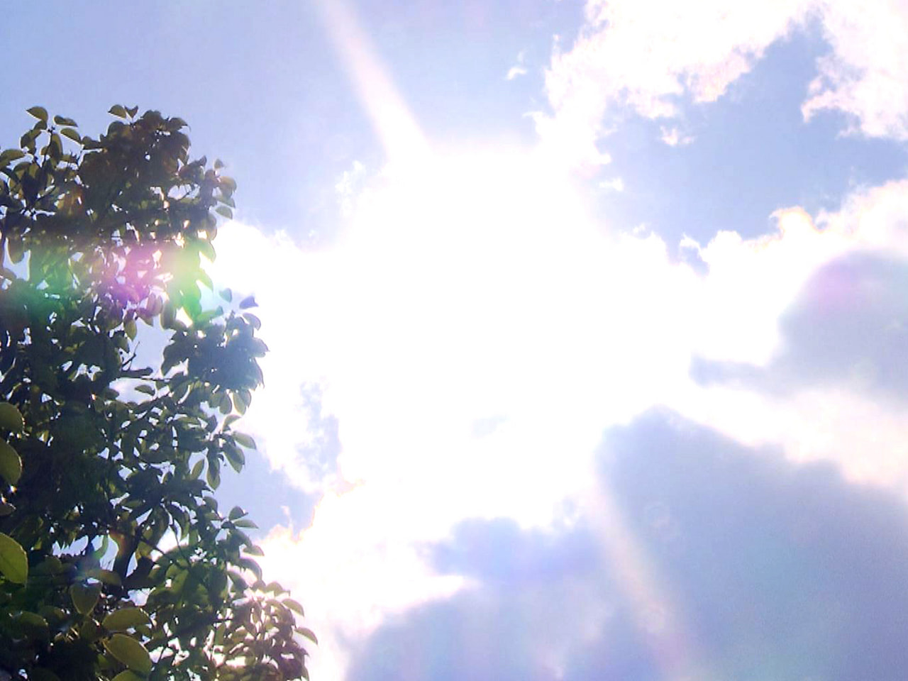 夏休みに入って最初の日曜日の２１日、岐阜県内は、上空に強い暖気が流れ込んだ上に、...