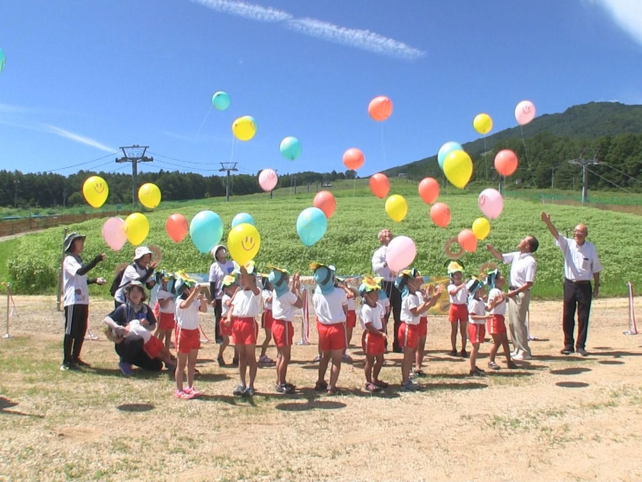 約２０万本のヒマワリがゲレンデを彩る高山市の「アルコピアひまわり園」が今年もオー...