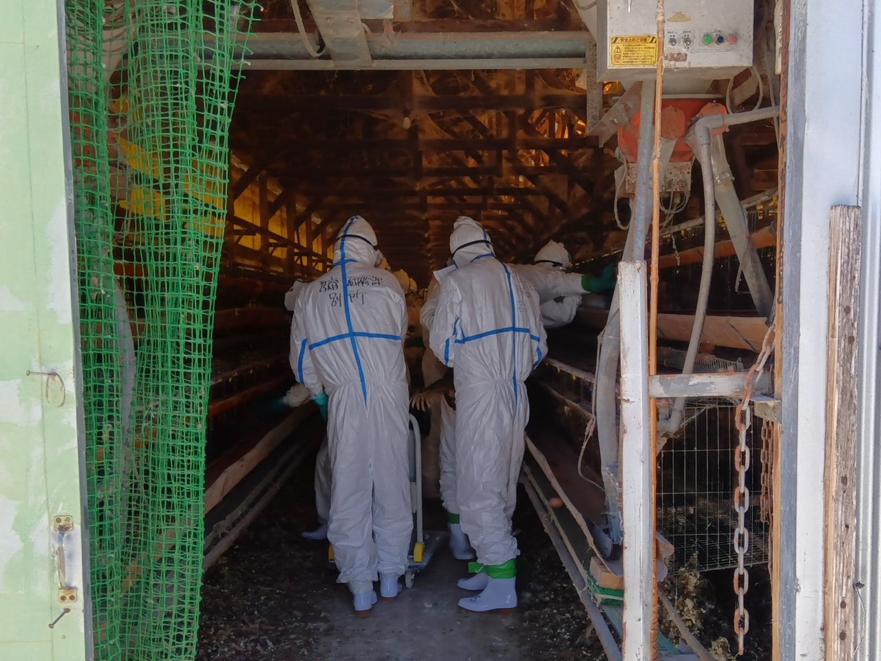 岐阜県は２２日、高病原性鳥インフルエンザが発生した本巣市の養鶏場での防疫措置が完...