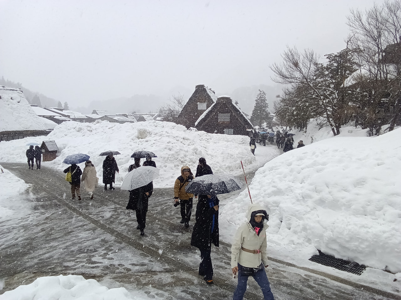 日本付近は１９日にかけて強い冬型の気圧配置となるため、岐阜県では警報級の大雪とな...