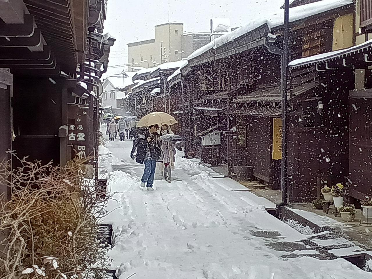 岐阜県では１９日昼前にかけて山地を中心に平地でも大雪となる所がある見込みです。大...