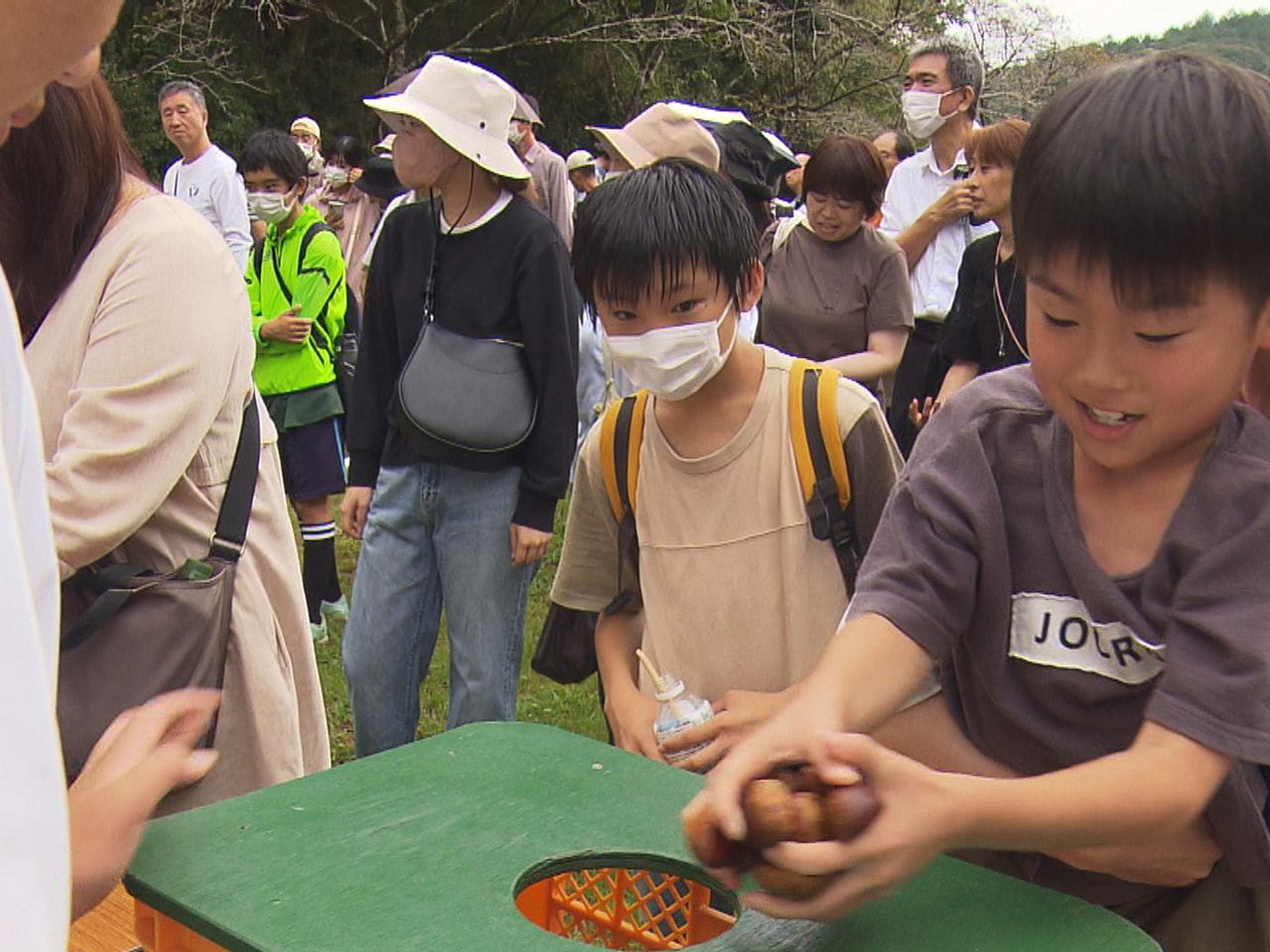 利平栗発祥の地の山県市で６日、「山県市ふるさと栗まつり」が開かれ、栗のつかみ取り...