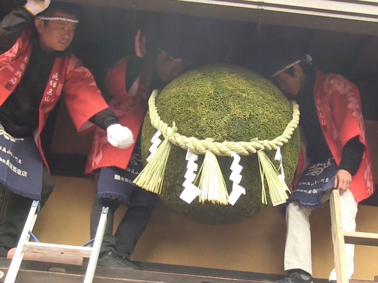 新酒の出来上がりを知らせる新しい杉玉が２日、高山市の造り酒屋に掲げられました。 ...