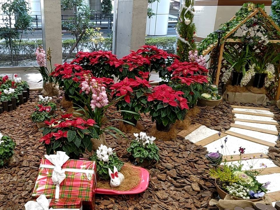 岐阜県内の高校生らがＪＲ岐阜駅周辺の施設を花で飾るイベント「花で彩るクリスマス」...